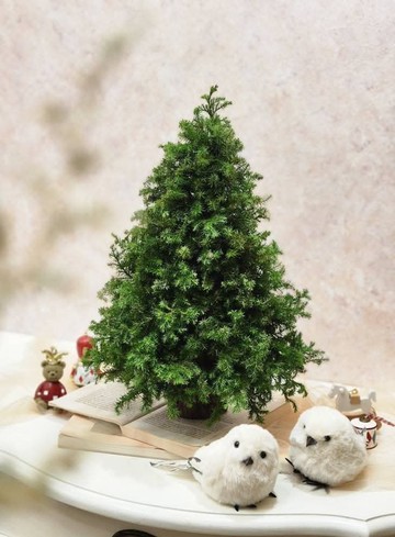 【材料包】抹茶森林聖誕樹純樹無裝飾品 交換禮物 聖誕禮物