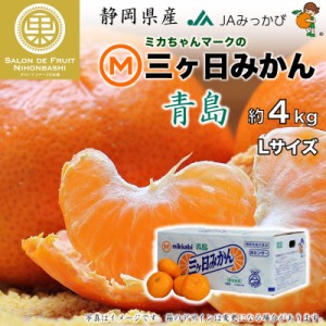 [予約 2023年12月5日-12月30日の納品]  三ケ日みかん 青島 約4kg L 静岡県産 産地箱 冬ギフト お歳暮 御歳暮