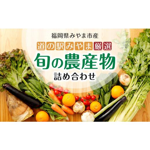 ふるさと納税 福岡県 みやま市 A7 　旬の農産物セット