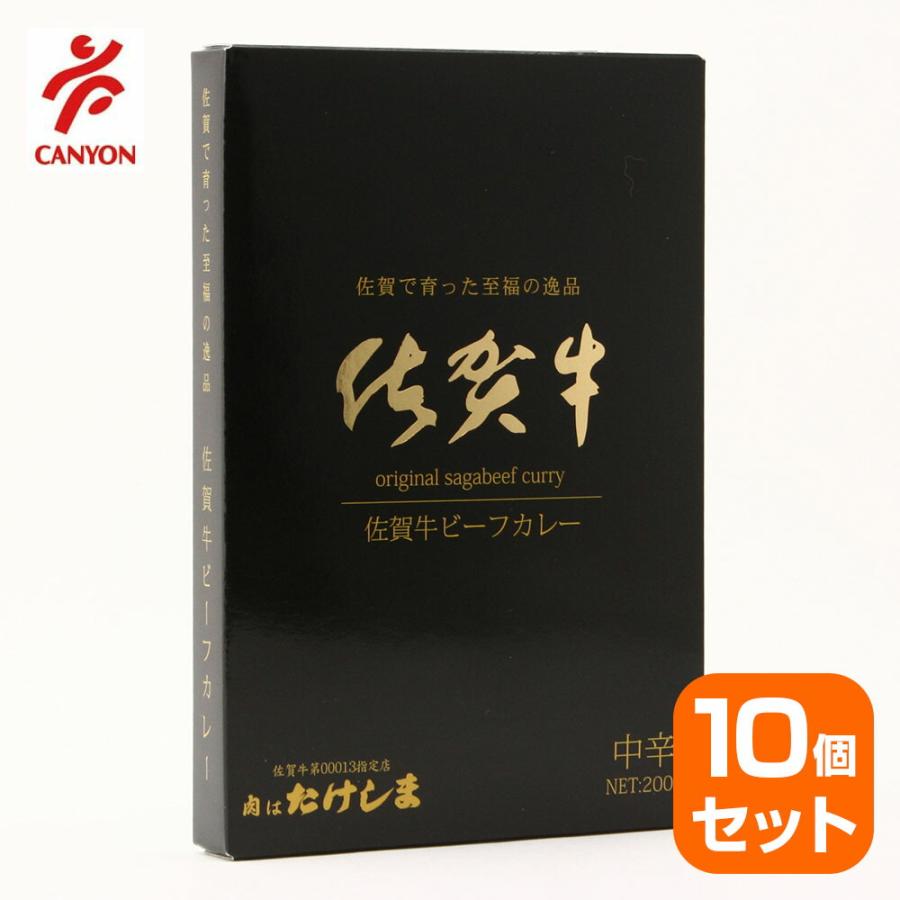 佐賀で育った至福の逸品　佐賀牛ビーフカレー 200g 中辛