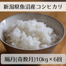 新潟県魚沼産コシヒカリ「山清水米」精米10kg(奇数月発送)全6回