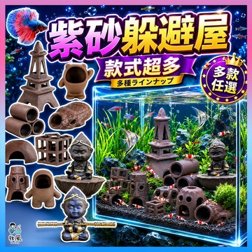 放風水族【最多款🔥紫砂躲藏屋】魚缸造景 水族造景 水族箱 孔雀魚 齊天大聖孫悟空 裝飾 鳳梨屋 蝦缸 躲避洞 魚缸 紫砂