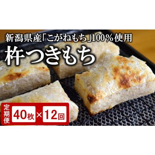 ふるさと納税 新潟県 柏崎市 杵つきもち 玄米餅 40枚（8枚入×5パック）×12回[E981]