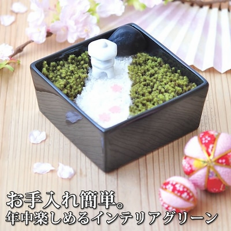 苔 インテリア 苔日和 苔庭 苔玉 栽培セット 栽培キット かわいい 観賞セット スナゴケ ガーデニング 観葉植物 苔盆栽 父の日 母の日 誕生日 ギフト 敬老の日 プレゼント 癒し 通販 Lineポイント最大1 0 Get Lineショッピング