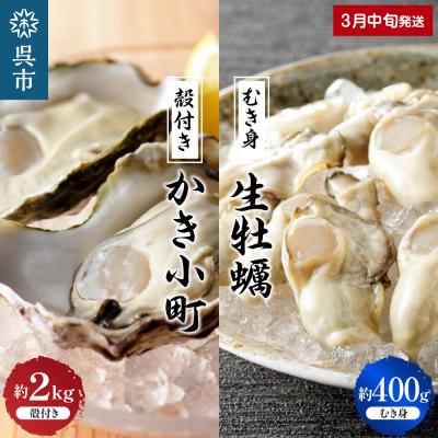 ふるさと納税 呉市 丸十水産 生牡蠣 特選むき身 400g 殻付き かき小町 約2kg