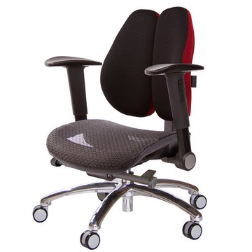 GXG 大網座 低雙背工學椅(鋁腳/摺疊升降扶手)  TW-3075 LU1