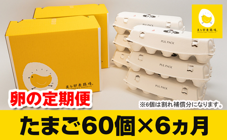 6ヵ月連続お届け　美ら卵養鶏場の卵　各月60個