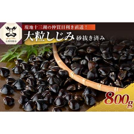 ふるさと納税 しじみ　津軽十三湖産大粒しじみ800g（冷凍・砂抜き済） 青森県五所川原市