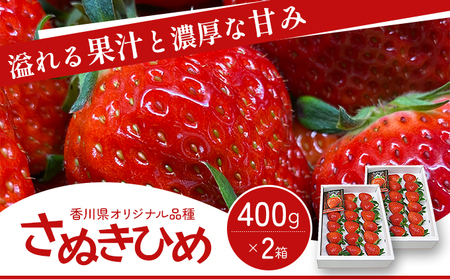 香川県オリジナル品種！  いちご 400g化粧箱×2箱