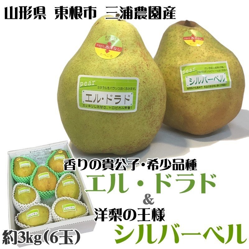 西洋梨 香りの貴公子 エルドラド、洋梨の王様シルバーベルのセット 山形県産東根市産 ポイント10倍 [エルドラド・シルバーベル３キロ] 通販  LINEポイント最大0.5%GET | LINEショッピング