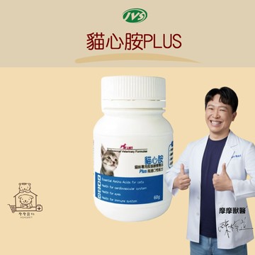 【動物醫院直送】免運隔日配 寶昕J.VET 獸醫專業配方 貓心胺PLUS 粉劑 60g/瓶 高品質胺基酸 牛磺酸 離胺酸