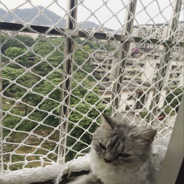 物防逃網 養殖網 防護網 （可定製尺寸）