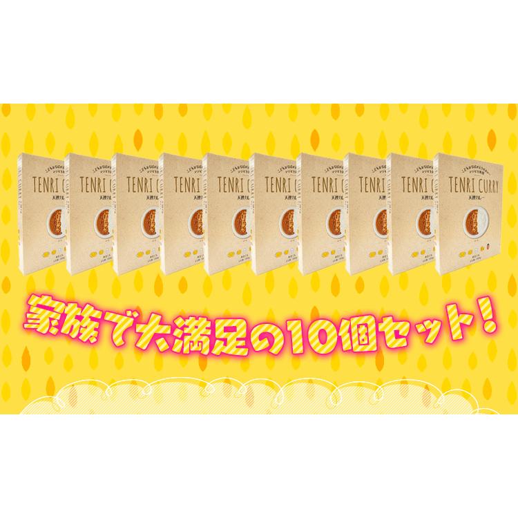 天理カレー　あまくち　250g×10個セット　「こどもおぢばがえり」のカレー