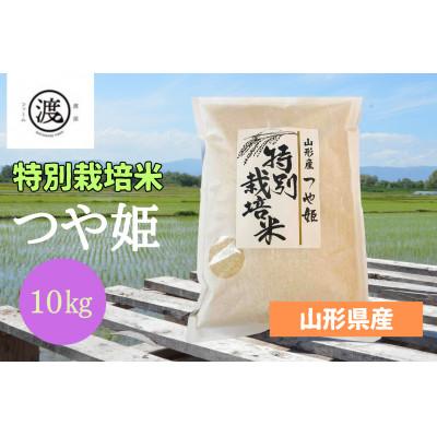 ふるさと納税 高畠町 特別栽培米　つや姫  10kg(5kg×2)