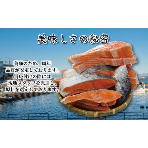 ふるさと納税 千葉県 銚子市 訳あり 厚切り 塩銀鮭 切り身 約2.0kg 冷凍 厚切 肉 厚 さけ サケ 魚 海鮮 おかず シャケ 塩 鮭 大容量 千葉 銚子 銚子東洋 1切れ…