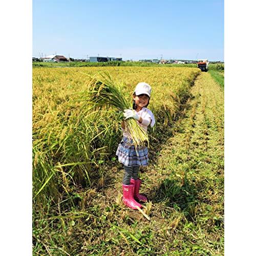 メール便　有機栽培米　白米　島根県産　3合（450ｇ）パック