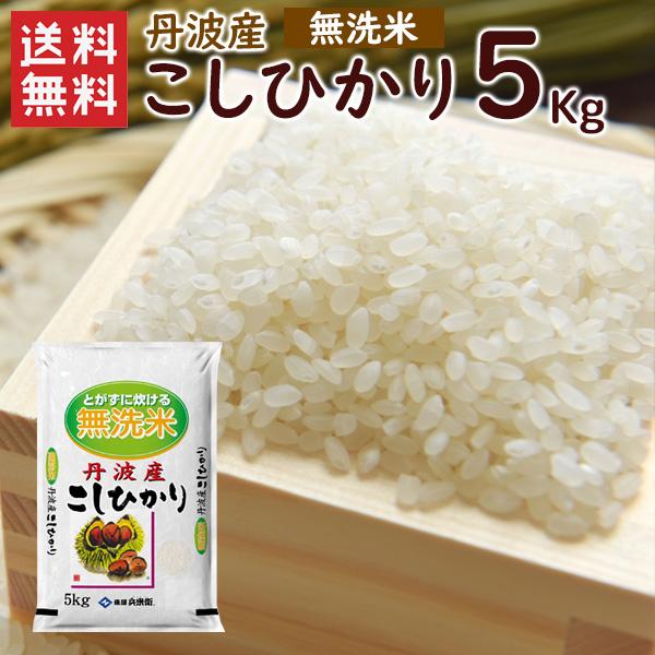 新米 無洗米 丹波産（兵庫県）コシヒカリ5kg（5kg×1袋）  送料無料 令和5年産 お米 米 丹波産  兵庫県産 （北海道・沖縄別途送料）（配達日・時間指定は不可）