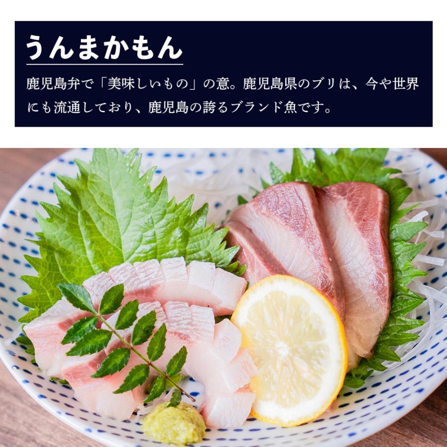 送料無料 ぶり 切り身 鹿児島県産 2パック セット ブリ