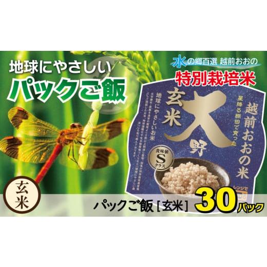 ふるさと納税 福井県 大野市 地球にやさしいパックご飯 30食入り　減農薬・減化学肥料 「特別栽培米」