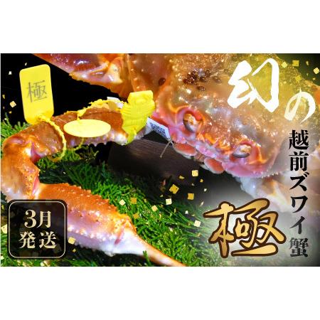 ふるさと納税 特上 越前ズワイ蟹 『極』 1杯 ※活状態で1.5kg以上 【越前ガニ 越前がに 越前ズワ.. 福井県坂井市