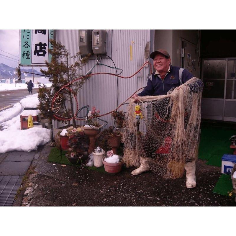 魚友商店特上 子持ち鮒寿司 琵琶湖産天然にごろぶな Mサイズ（140ｇ?160ｇ）スライス