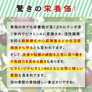 農家直送 パッションフルーツ　贈答用1ｋｇ（秀品12個入り） 奄美大島産 贈答用 果物 先行予約 2024年 6月 ビタミン 葉酸 トロピカルフルーツ 鹿児島 夏の果物 旬 1kg
