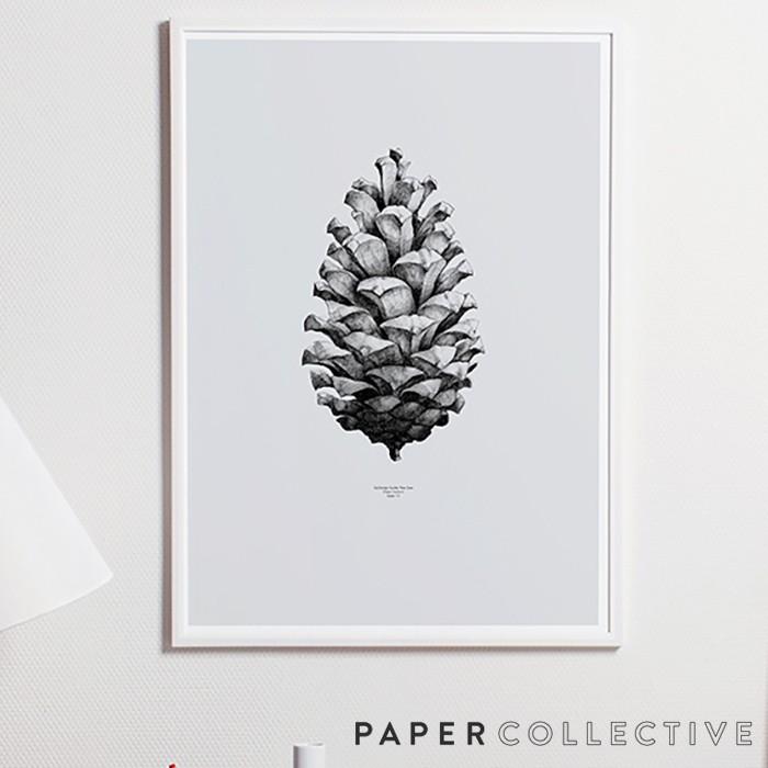 PAPER COLLECTIVE　パインコーン 松ぼっくり グレー　50x70cm ペーパーコレクティブ