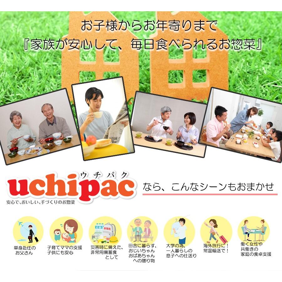 レトルト食品惣菜 千切り大根煮 　無添加 常温保存 uchipac  ウチパク　ロングライフ　非常食