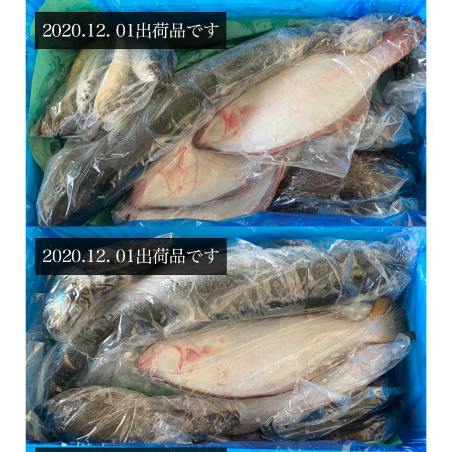 朝獲れ 鮮魚 セット 青森 尾駮漁港 6000円 贈り物 お歳暮 魚詰合せ 送料無料