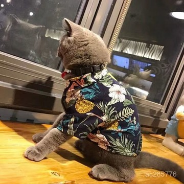 夏季薄款狗狗衣服春秋裝泰迪博美比熊衣服幼犬貓咪寵物衣服夏威夷 NUJB