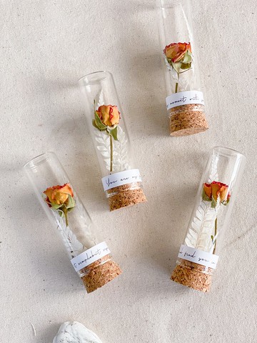 迷你乾燥玫瑰 x 永生乾燥花試管玻璃