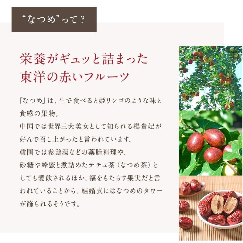 なつめチップ（80g×2袋）ノンフライ ドライフルーツ  ナツメ 乾燥なつめ 美活  温活 無添加 砂糖不使用 鉄分 美容  チップス なつめチップス