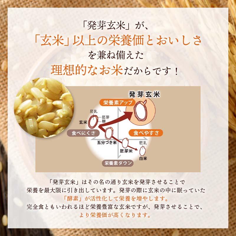 機能性表示食品 3日寝かせ発芽玄米ごはん＋GABA 30食セット