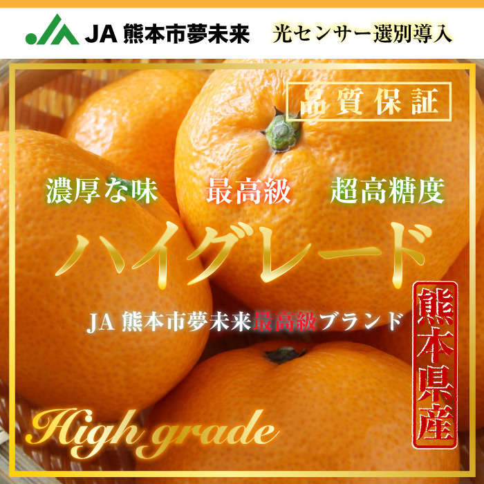 [予約 11月20日-12月31日の納品]   ハイグレード 約5kg 熊本県産 JA熊本市夢未来 糖度14度以上 高糖度 産地箱 冬ギフト お歳暮 御歳暮