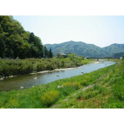 ふるさと納税 こだわり醤油と多可のおいしいお米セットＢ[113] 兵庫県多可町