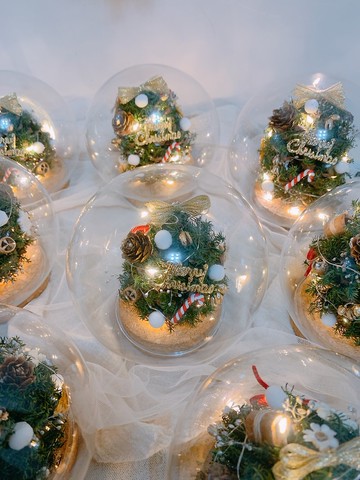 sueing_blossom 永生聖誕樹玻璃罩