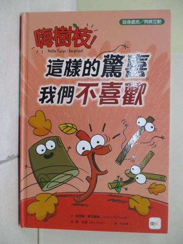 【書寶二手書T3／少年童書_ZYH】嗨樹枝！這樣的驚喜我們不喜歡_班．伍德(Ben Wood)