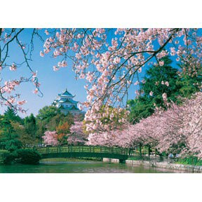 P2-HM52-538 古城櫻花系列(1)拼圖520片