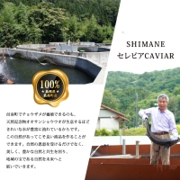 島根県産チョウザメの缶詰　3種4個セット