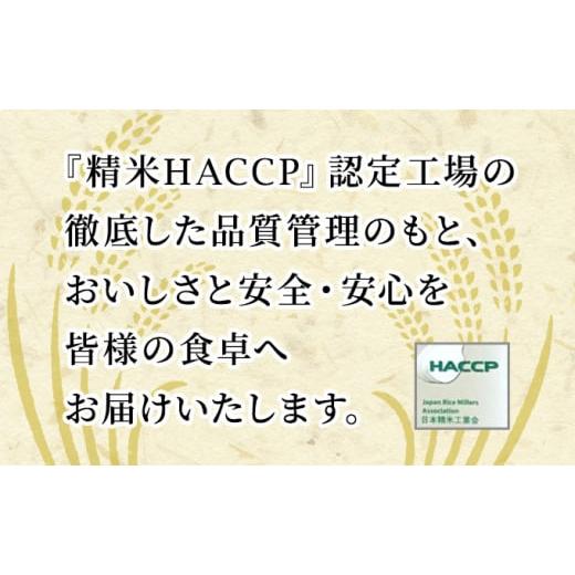 ふるさと納税 秋田県 男鹿市 定期便 令和5年産 あきたこまち 精米 20kg 5kg×4袋 2ヶ月連続発送（合計 40kg） 秋田食糧卸販売