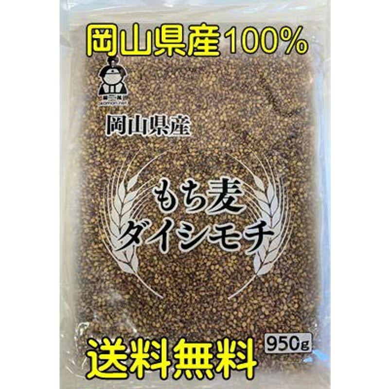 もち麦 岡山県産 ダイシモチ (950g×10袋) 令和4年産