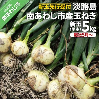 ふるさと納税 南あわじ市 淡路島　南あわじ市産玉ねぎ5kg　早生　◆配送5月〜