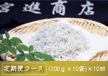 定期便 魚 10回 釜揚げ しらす 1kg x 10ヶ月 子どもにも 便利 小分けパック 100g×10パック 産地直送 鮮度 抜群 高知県 須崎市