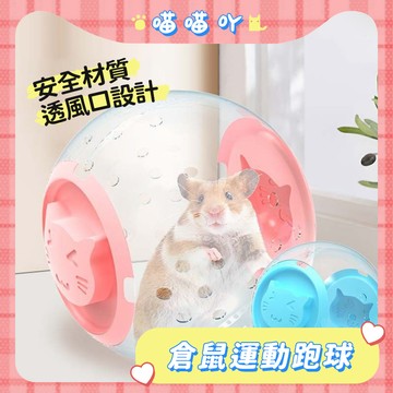 水晶球 倉鼠玩具 倉鼠球 倉鼠滾球 滾輪 寵物玩具 老鼠球 鼠球 倉鼠 倉鼠水晶球 倉鼠玩具球 倉鼠健身球 跑球