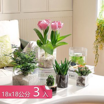 【荷生活】透明高圓水培植物PET材質花瓶 經久耐用防摔簡易高透園藝花瓶-18x18公分-3入組