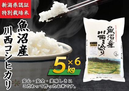 魚沼産川西こしひかり5kg×6　新潟県認証特別栽培米　令和５年度米