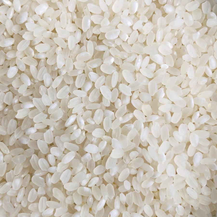 米 20kg お米 とちぎの星 送料無料 新米 令和5年 白米 栃木県産（北海道・九州 300円）