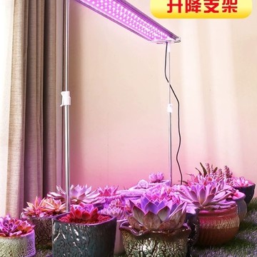 生長燈 植物生長燈 補光燈 燈管 家用LED植物燈多肉補光燈全光譜上色防徒室內花卉生長仿太陽