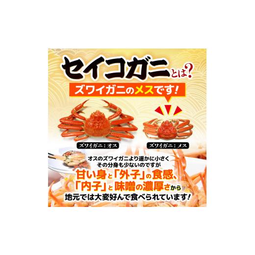 ふるさと納税 福井県 美浜町 [m21-f002] 全て地物！天然！冬の味覚 冷凍セイコガニ 大サイズ × 6匹 計1kg以上 食べ方カラー説明書付き ズワイガ…