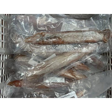 《冷凍》活凍大透抽 30cm上/尾【現貨】